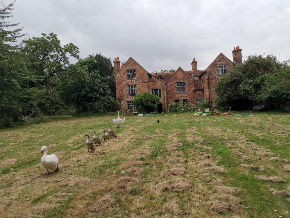 Bed and Breakfast Old Manor House à Shepperton Extérieur photo